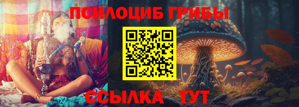 Псилоцибиновые грибы Psilocybe Пыть-Ях