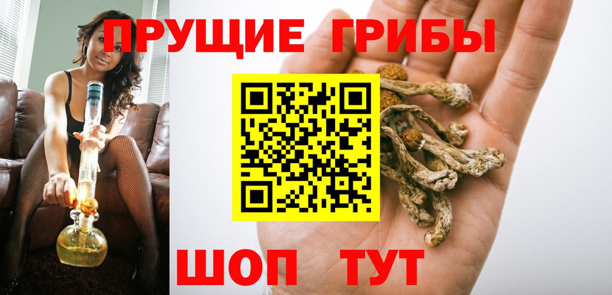 Пыть-Ях  Псилоцибиновые грибы прущие грибы  Вход с VPN 